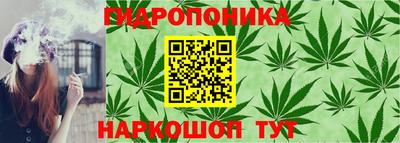 твердый Гусь-Хрустальный