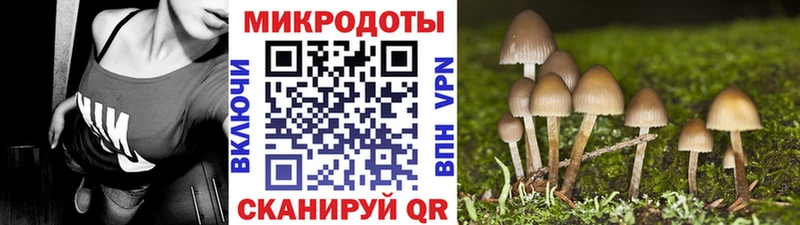 Псилоцибиновые грибы мицелий  МЕГА tor  Зеленокумск 