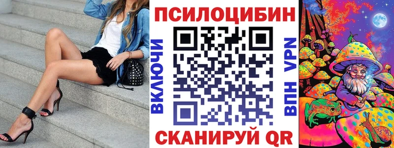 Галлюциногенные грибы Psilocybine cubensis Зеленокумск