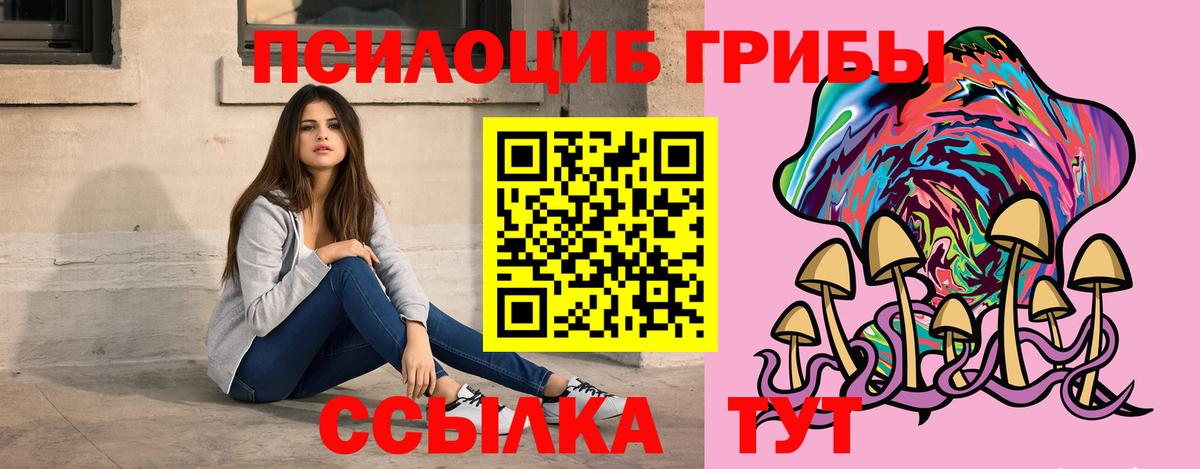Зеленокумск  Галлюциногенные грибы Psilocybe  Вход с VPN 
