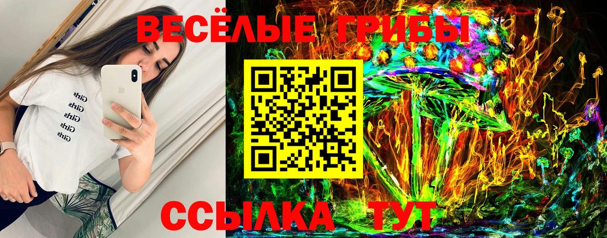 цены   Зеленокумск  Псилоцибиновые грибы Cubensis 