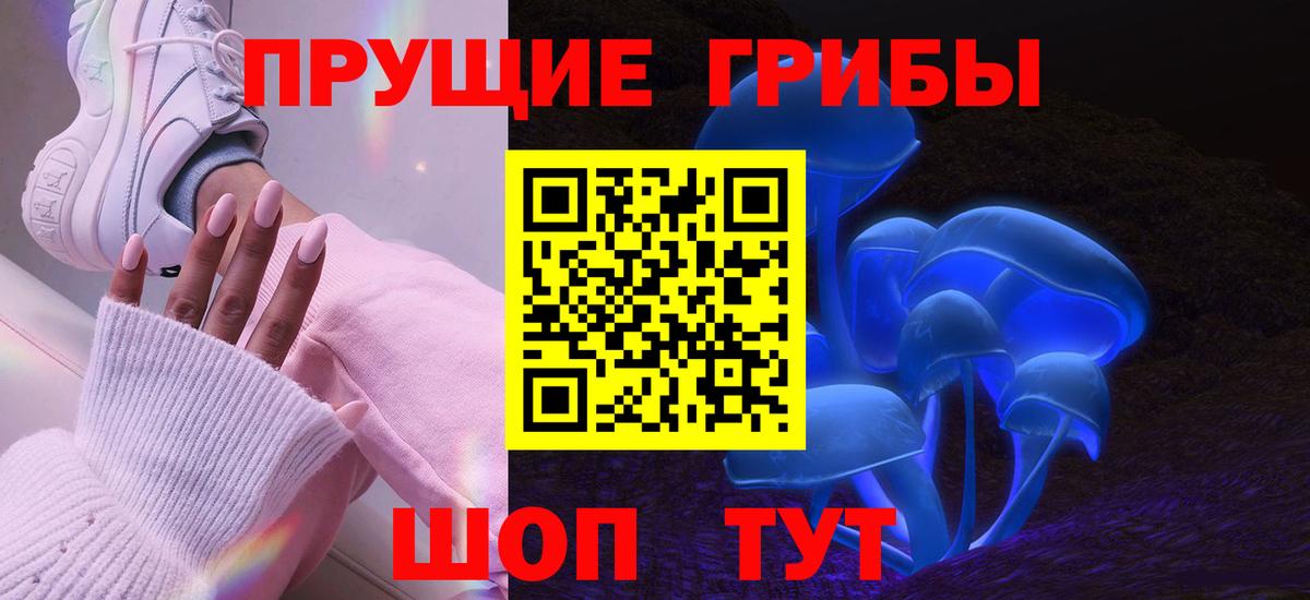 Псилоцибиновые грибы мицелий Зеленокумск
