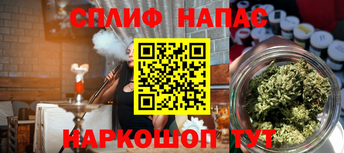 Бошки Шишки Ganja  Бошки Шишки план  Шишки марихуана план  Зеленокумск  Марихуана сатива 